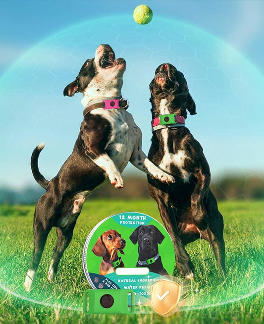12 Months Flea and Tick Free