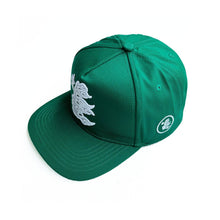 HS Hat